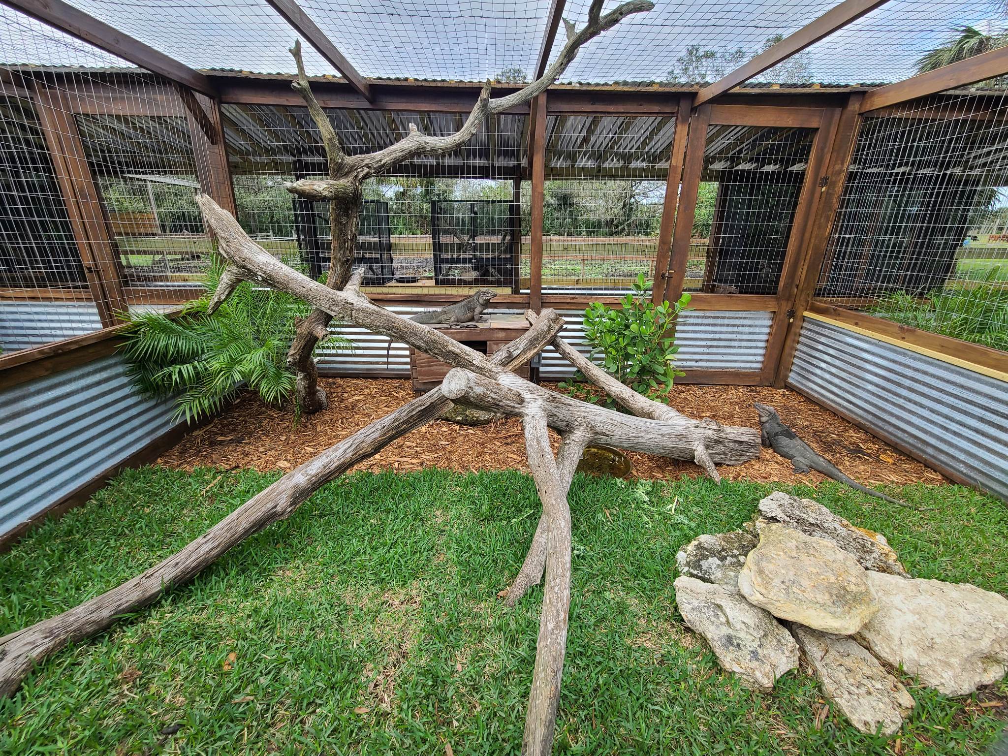 turtle enclosure