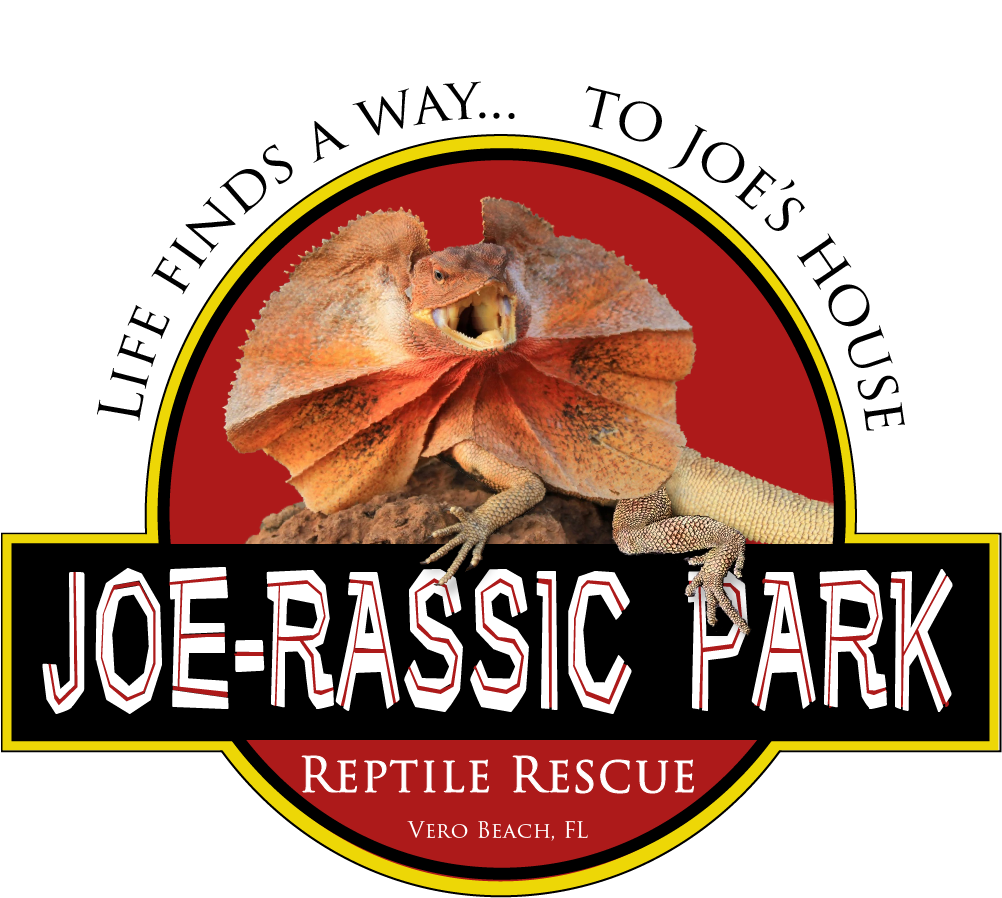 Joe-Rassic Logo